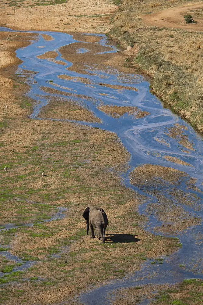 Elephant Photo Stanely Raymond